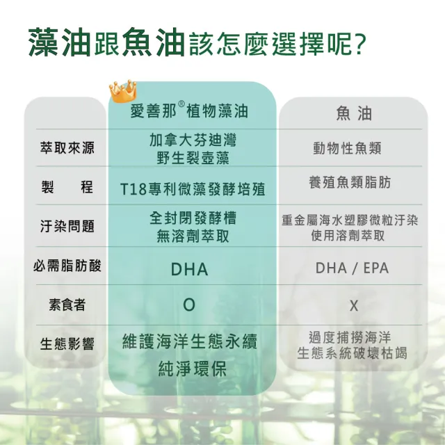 【愛善那】美國專利80% DHA藻油素食軟膠囊x3 共180粒(市售最高濃度DHA高達80% rTG型式好吸收)