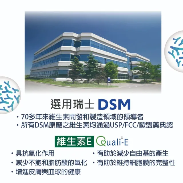 【愛善那】美國專利80% DHA藻油素食軟膠囊x6 共360粒(市售最高濃度DHA高達80% rTG型式好吸收)
