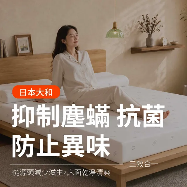 【森好眠】雙人7.5cm大和抗菌乳膠床墊5x6.2尺經典款(薄床墊可摺疊折疊Sonmil森好眠)