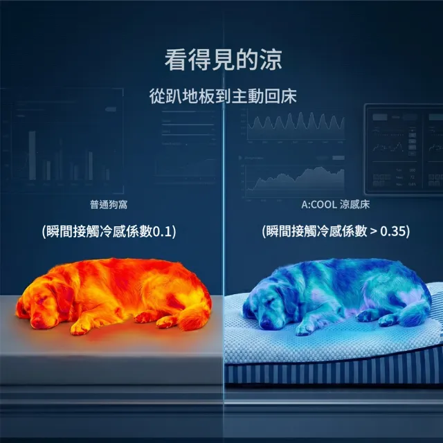 【IPSKY】寵物涼感睡墊 寵物冰墊 狗狗降溫睡墊 可拆洗狗狗墊 寵物床墊 貓咪睡墊 35KG適用