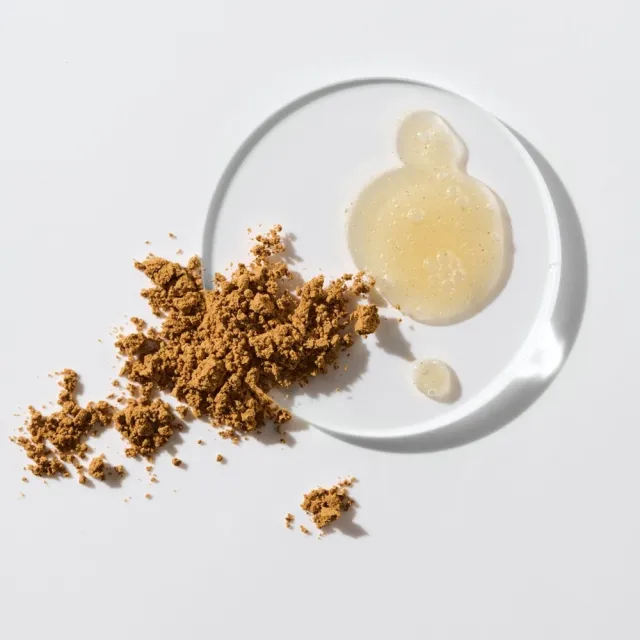 【VEGANWELL】馬告茶籽胺基酸洗碗精500mL