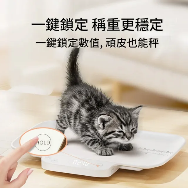【IPSKY】寵物專用體重秤 10g精準稱重 高精度寵物電子秤 貓狗電子秤 100KG適用