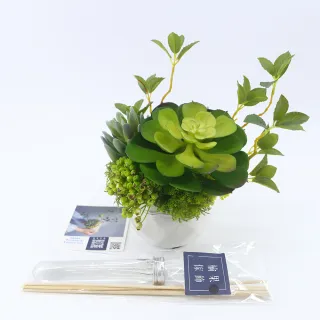 【HUGO DECO 榆果傢飾】大寶石蓮枝芽多肉盆栽(擬真植物/人造盆栽/綠化/佈置/禮物/教師節)
