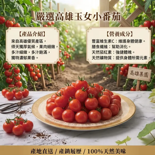 【王媽媽推薦】益生菌番茄乾6包組(40g/包)酸甜Q彈 零食首選