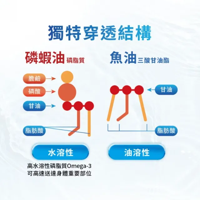 【vigoway 威客維】NY03南極磷蝦油軟膠囊 60顆/罐