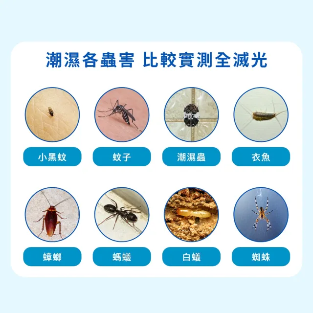 【福來朗】潮濕蟲噴霧 500ml_5入組 (除蟲菊精｜衣魚｜鰹節蟲｜書蝨｜潮濕空間適用)