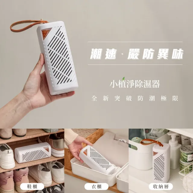 【SANSUI 山水】小植淨除濕器 除濕器 迷你除濕機 懸掛直放 除溼 除濕 雨季 防潮 無線綠能除濕器GRA360