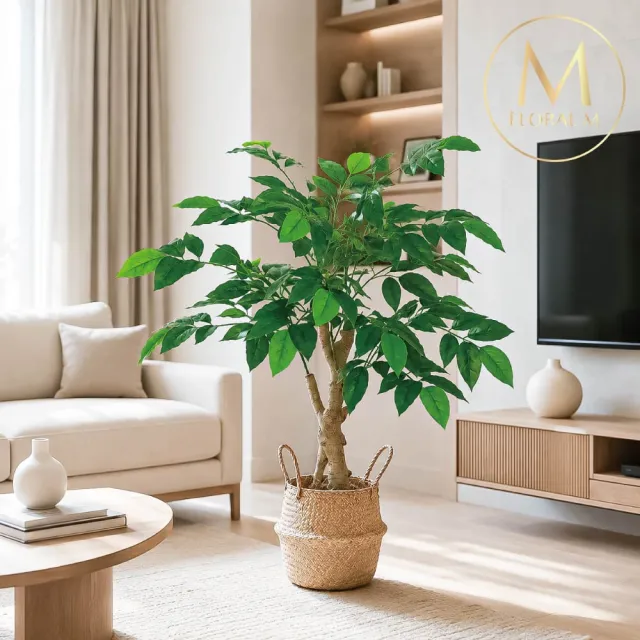 【Floral M】居家入門款幸福樹100cm仿真植栽(贈編織籃)(人造植栽/仿真樹/室內佈置/居家裝飾)