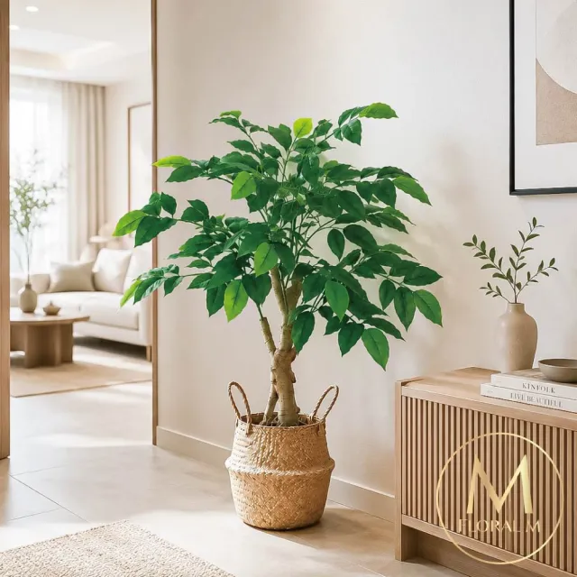 【Floral M】居家入門款幸福樹100cm仿真植栽(贈編織籃)(人造植栽/仿真樹/室內佈置/居家裝飾)