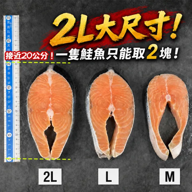 【築地一番鮮】特大｜虱目魚肚+厚切鮭魚雙拼4片組｜ (225g虱目魚X2片/420g鮭魚X2片)/真空獨立包