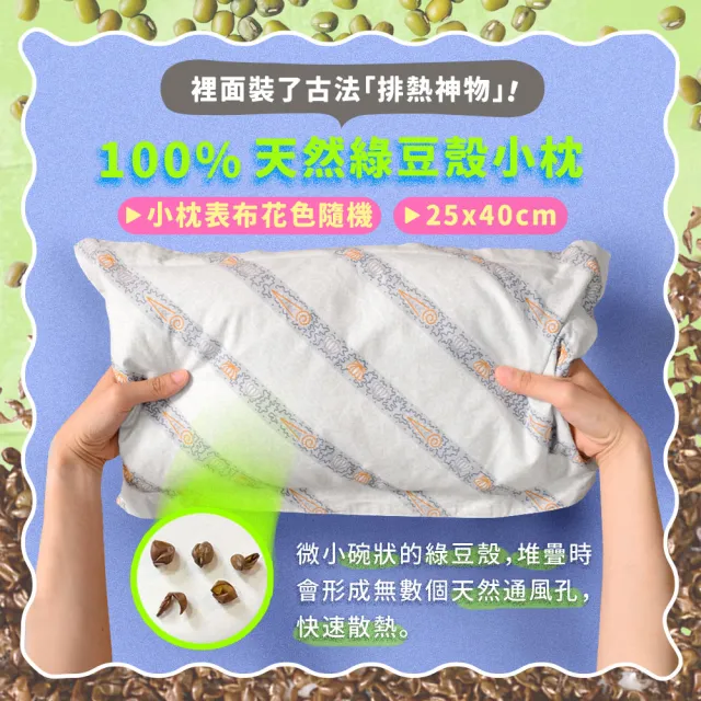 【Embrace 英柏絲】L型枕＋小枕 雙件組｜特涼款 綠豆枕 老人看護翻身枕 擺位枕 側睡抱枕 台灣製