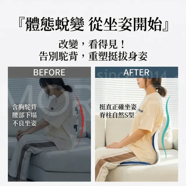 【MorTer】人體工學支撐坐墊｜支撐坐姿 久坐不累｜腰椎S型支撐｜辦公室 車用坐墊 護腰坐墊 腰靠坐墊 靠墊