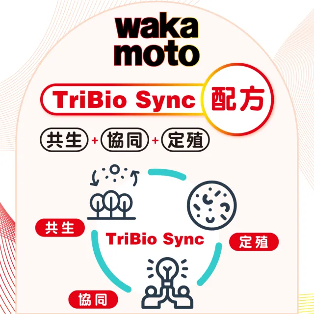【Wakamoto 若元】若元益生菌_220錠/瓶(食品、獨家高活性WB菌、TriBio Sync配方、使排便順暢、日本原裝)