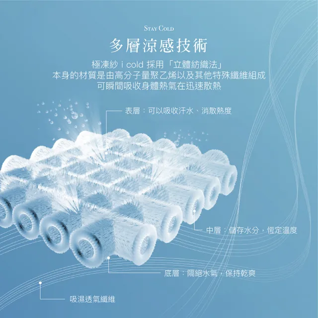 【ISHUR 伊舒爾】極凍涼感枕套1入 台灣製造(兩色任選/枕頭套)