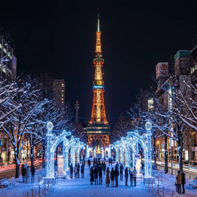 【喜鴻假期】★台中出發.北海道白色冬旅5日★函館夜景、五稜廓公園、小樽、札幌燈節、企鵝遊行