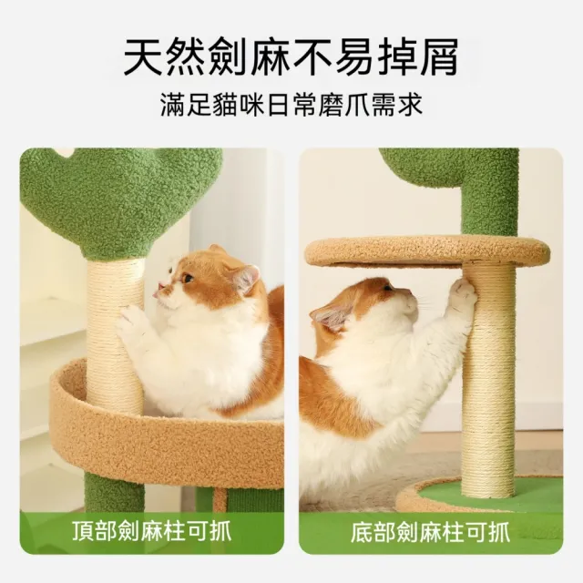 【匠俱】仙人掌組合桶貓爬架 40x54x108cm 貓窩貓屋貓跳台一體 貓抓柱四季通用 小戶型不佔地