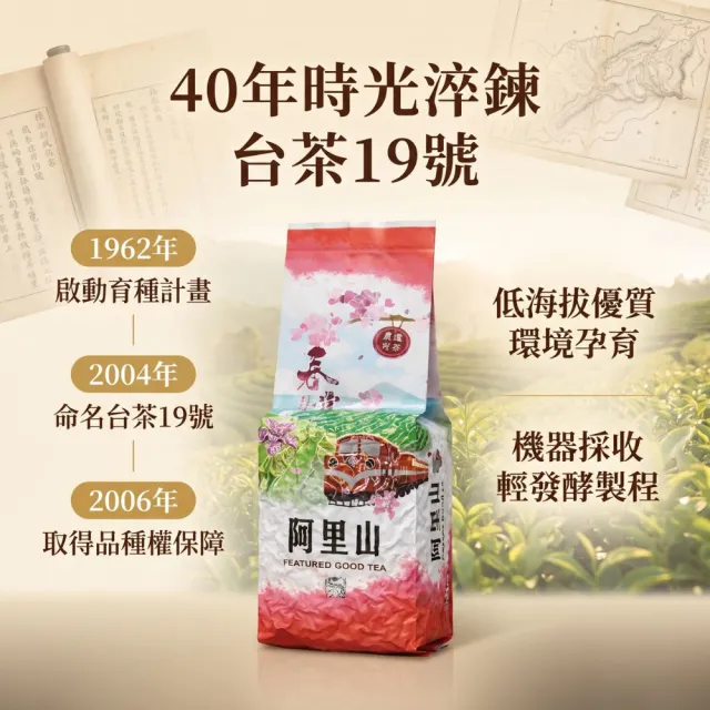 【象楠茗茶】(批發價)台灣特產台茶19號碧玉*25入組 (300g±5%/包/共25包) 外銷等級 自然茗香 回甘好茶