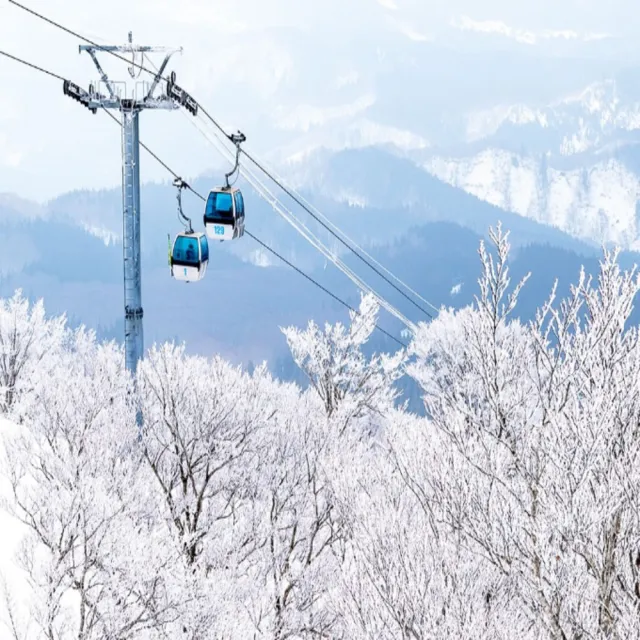 【喜鴻假期】★兒童最高省1萬.雪國青森8日★森吉山樹冰、暖爐列車、雪樂園、猊鼻溪暖桌