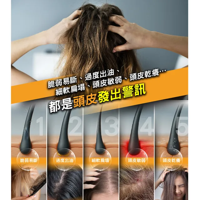 【Dr’s Formula 台塑生醫】髮根標靶健髮洗髮精580g 三入組/官方直營