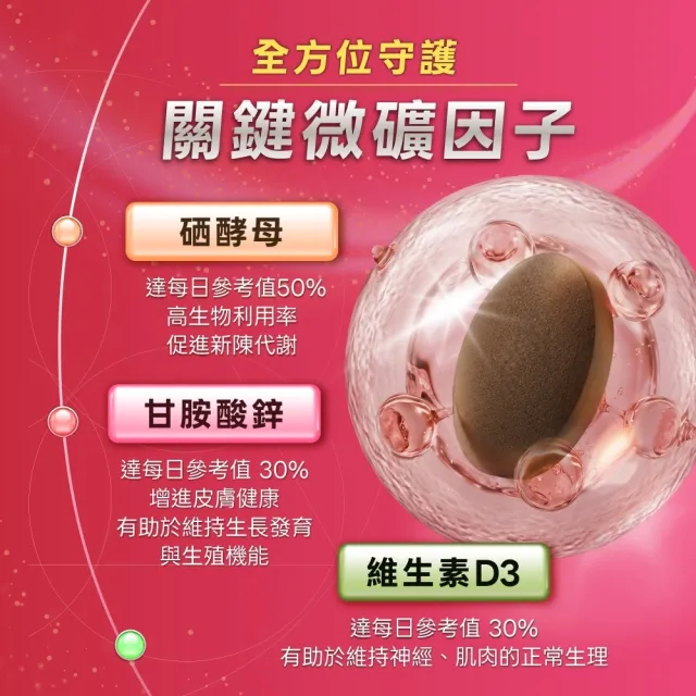 【BTP】絲蓓豐紅石榴魔法錠4包-30錠/包