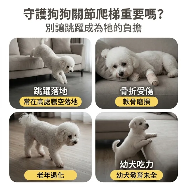 【IPSKY】多功能寵物爬梯椅凳 寵物樓梯 可摺疊台階 二合一 防滑耐磨 寵物爬梯 寵物斜坡 狗狗樓梯 寵物階梯