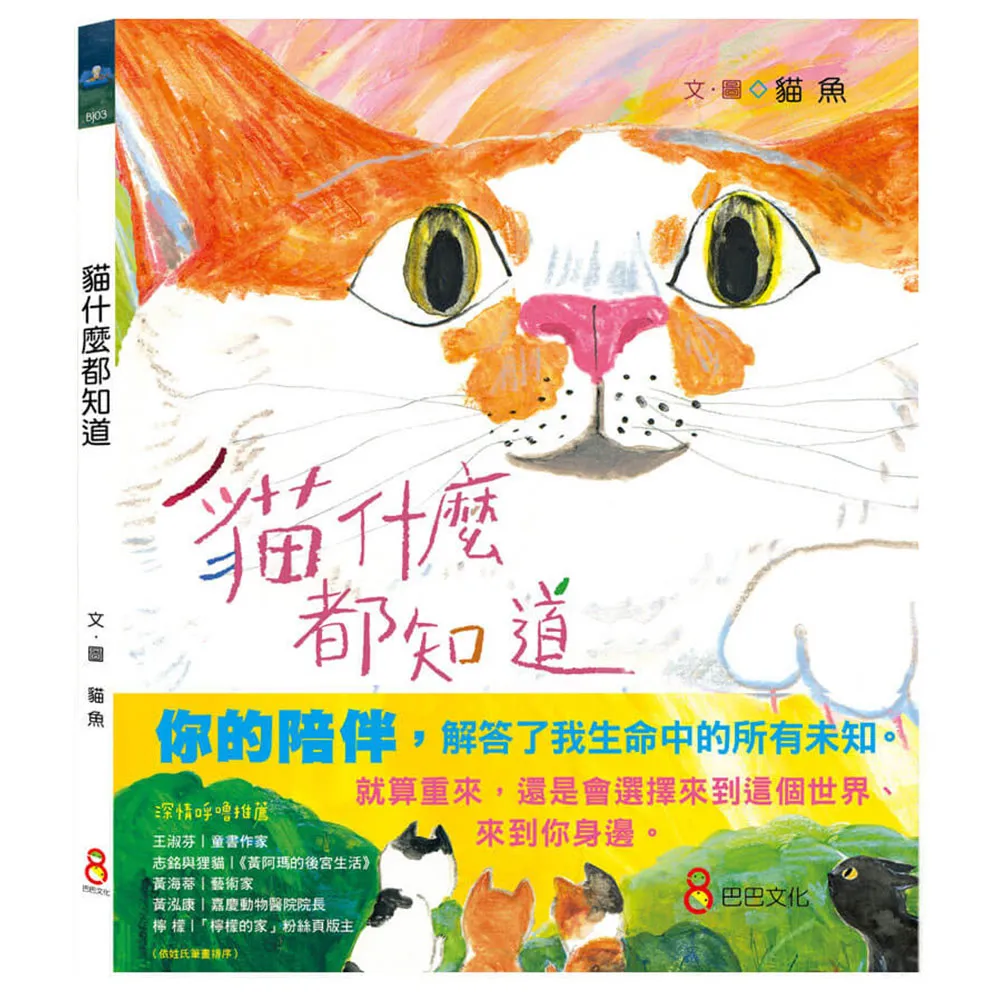 貓什麼都知道