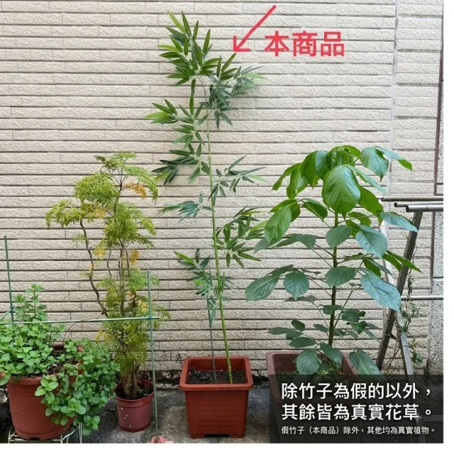 【poko】景觀日系仿真竹子 竹籬笆 擬真160公分 (四節)高度可調 3入 包塑鋼管 室內外日式屏風 圍籬 園藝造景