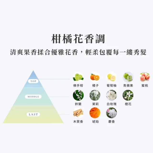 【emplir】安珀麗強韌護髮黑精華 210mL (沙龍級護髮/神經醯胺/修護受損/不含矽靈)