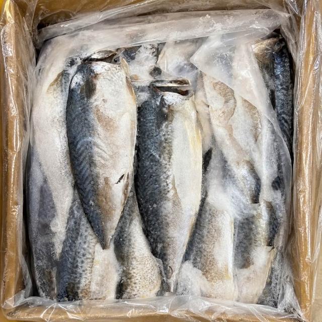 【三頓飯】嚴選宜蘭薄鹽鯖魚(原裝40-50片/約6kg)