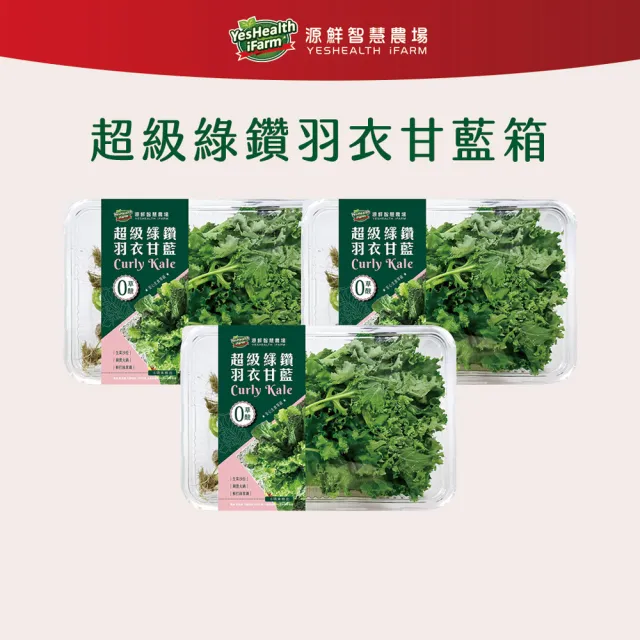 【源鮮智慧農場】超級綠鑽羽衣甘藍箱200g x 3盒(羽衣甘藍｜生菜沙拉｜水耕生菜)