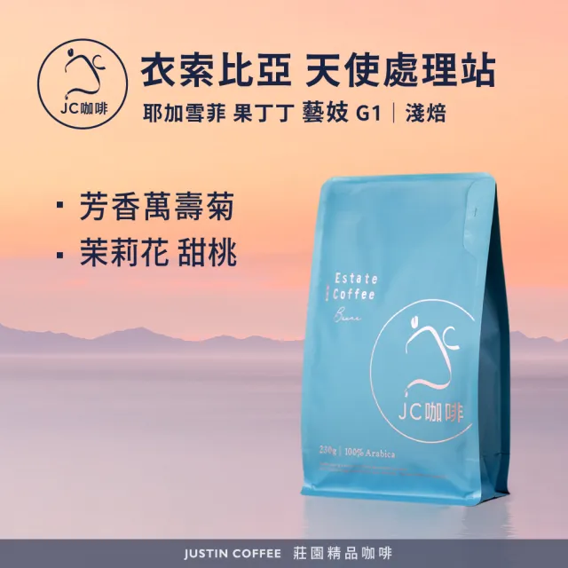 【JC咖啡】衣索比亞 耶加雪菲 果丁丁 天使處理站 藝妓 G1 咖啡豆1包│淺焙(半磅;230g;新鮮烘焙)