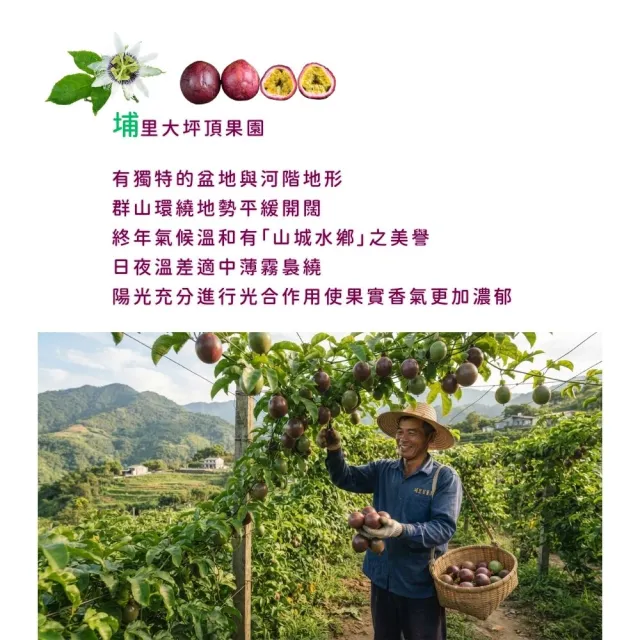【賞菓優鮮】南投埔里滿天星百香果精美禮盒2盒(27-33粒/5斤X2盒)(酸度極低_產地現採直送)