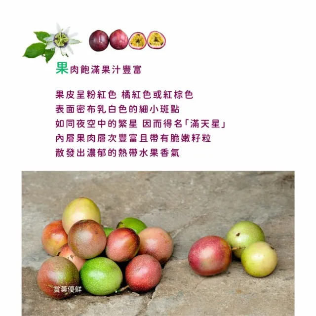 【賞菓優鮮】南投埔里滿天星百香果精美禮盒2盒(27-33粒/5斤X2盒)(酸度極低_產地現採直送)