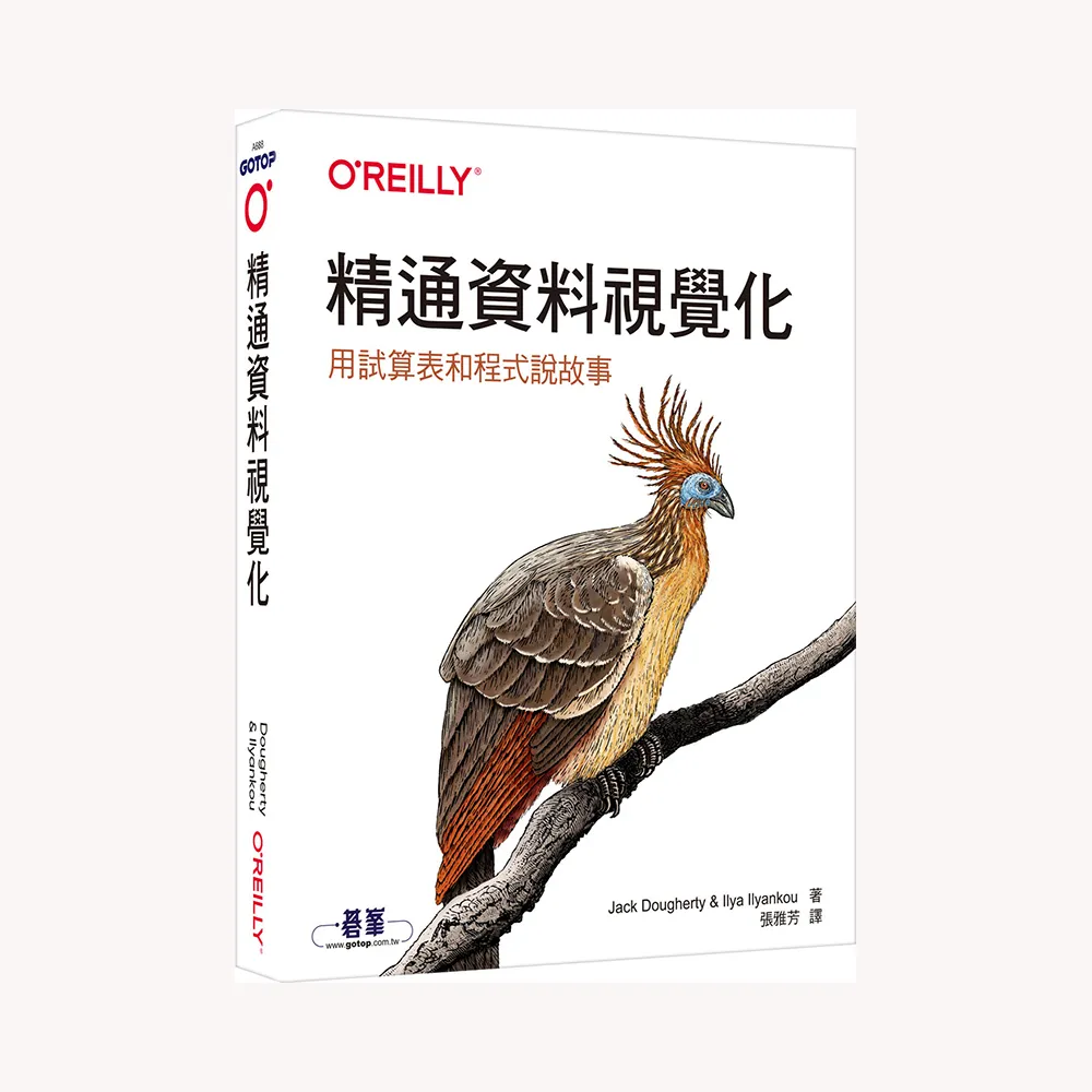  精通資料視覺化