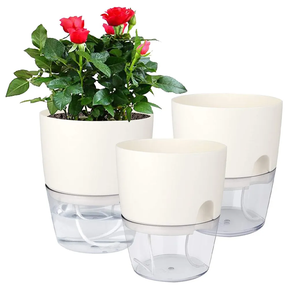 【品屋】透明自吸水花盆2.46吋A703(懶人花盆 自動澆水 吸水花盆 透明花盆 盆栽 植物花盆)