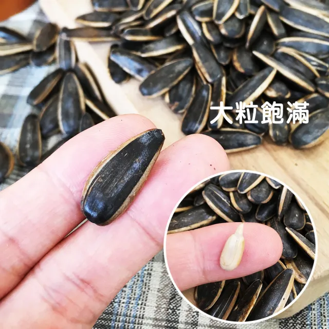 【盛香珍】豐葵香瓜子3kg量販包(焦糖/日月潭紅茶/桂圓紅棗/海鹽)