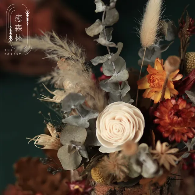【The Forest 癒森林】日暮里楓紅森林括香花禮贈5ml香氛油(永生花/盆花/送禮自用/開幕升遷生日/居家擺飾)