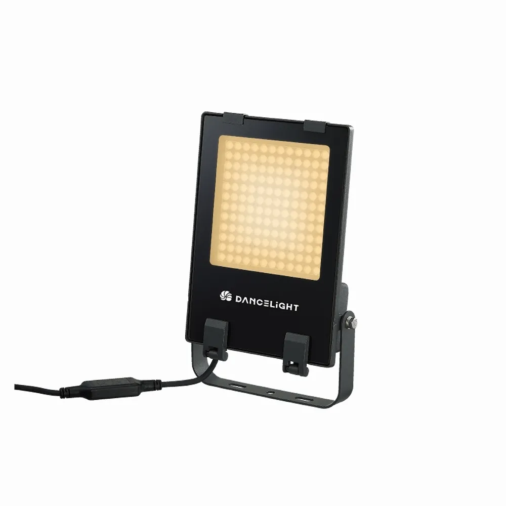 【DanceLight 舞光】100W 凱薩泛光燈 IP66防水 白光/黃光｜ E-FLCS100D  E-FLCS100W