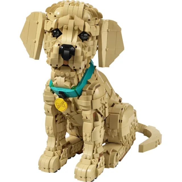 【LEGO 樂高】Icons 11384 小黃金獵犬(玩具狗 居家擺設 玩具 禮物)
