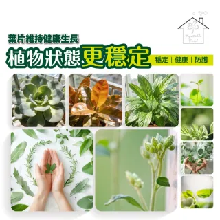 【蔬菜工坊】病蟲害防治套組 120ml 3入｜雙植保字號認證無毒除菌防