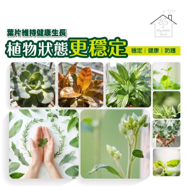 【蔬菜工坊】病蟲害防治套組 120ml 3入｜雙植保字號認證無毒除菌防