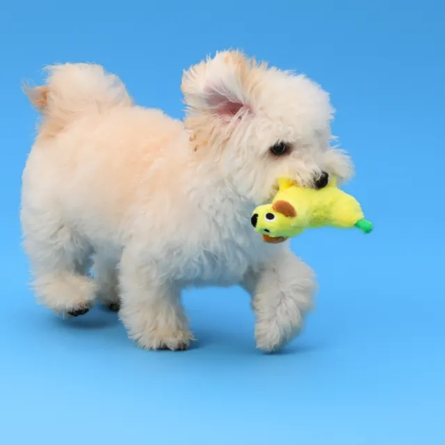 【尾巴向上】香蕉變小狗小型犬玩具 絨毛玩具 寵物陪伴 紓壓解悶 發聲玩具