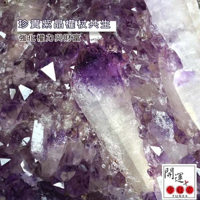 【開運方程式】巴西紫晶洞紫水晶洞權杖方解石片地晶花JU475(17.5kg招財風水開運擺設)