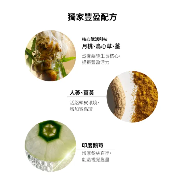 【AVEDA】蘊活煥欣洗髮精1000ml(頭皮護理 洗髮同時保養)_附贈 壓頭_馥郁版 新登場