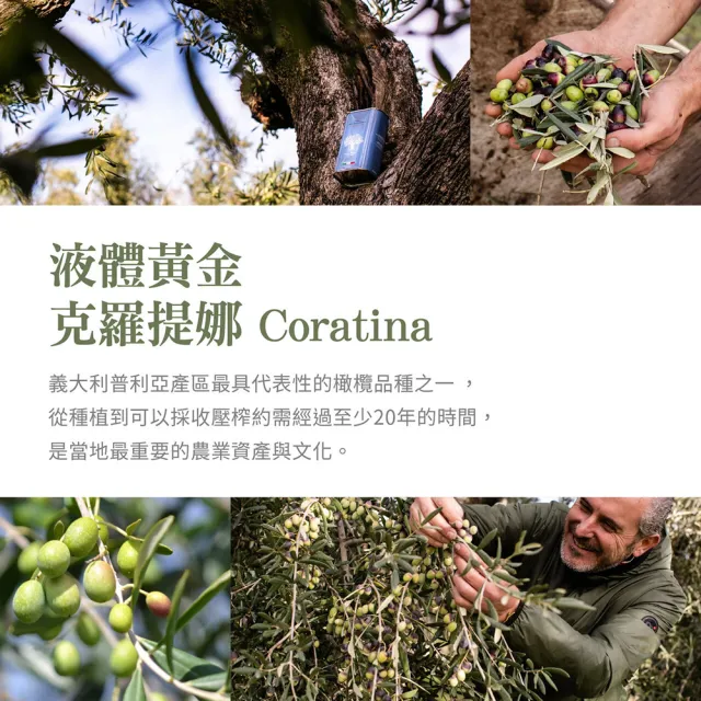 【Terra Del Tuono 雷霆之地】巴薩米克醋-陳年紅標250ml+白色金標100ml+特級初榨橄欖油 (雙11限定/油醋醬)