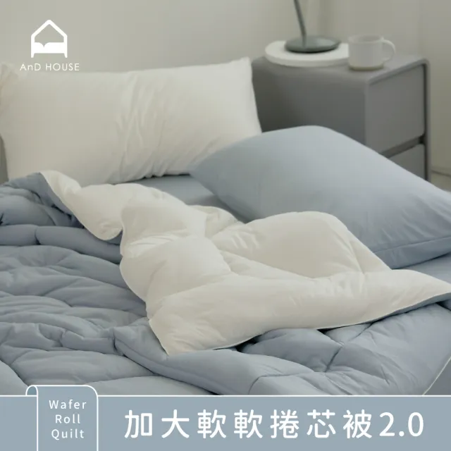 【AnD HOUSE 安庭家居】軟芯織-軟軟捲芯被2.0-加大7x8尺(多款任選/水洗被/棉被/冬被)