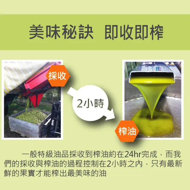 【壽滿趣】廚神頂級冷壓初榨黃金酪梨油250mlx3(可生飲/低溫冷壓)