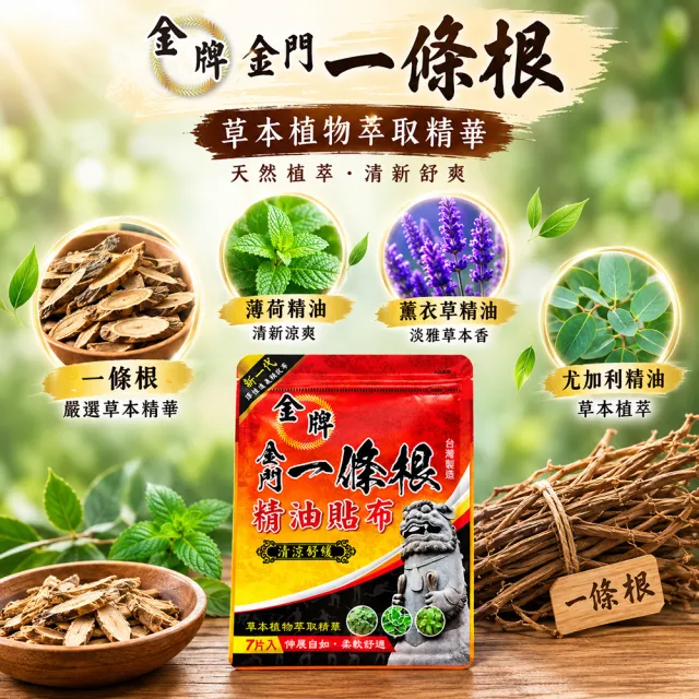 【金牌一條根】金牌金門一條根精油網狀貼布47片增量5片 清涼舒緩(正宗金門一條根 清涼舒緩 痠痛)