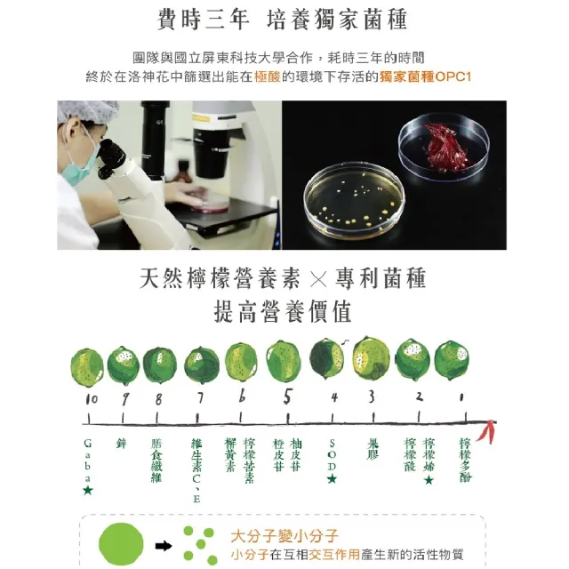 【萃綠檸檬】L80酵素精萃液 特惠3盒組 12瓶/盒(贈L80酵素精萃液X2瓶 20ml/瓶)