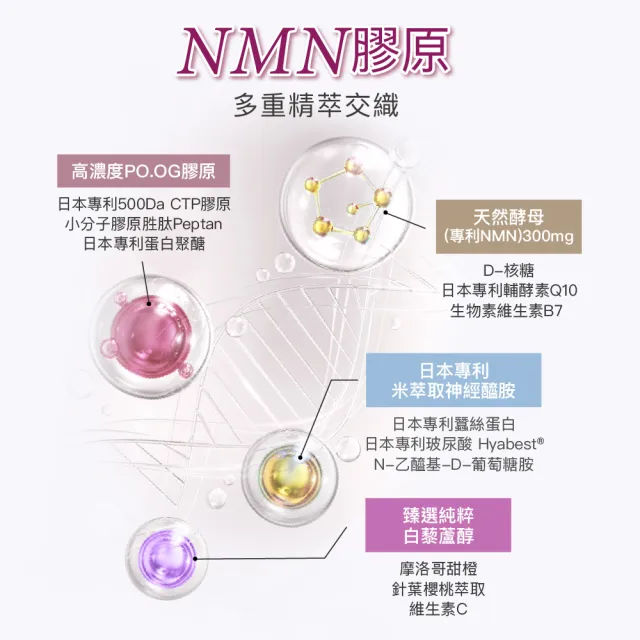 【Angel LaLa 天使娜拉】日本專利NMN酵素膠原粉x14盒(10包/盒/膠原蛋白/神經醯胺/玻尿酸/賴雅妍代言)
